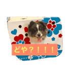 ションben芸者（個別スタンプ：12）