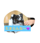 ションben芸者（個別スタンプ：13）