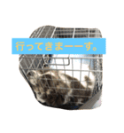 ションben芸者（個別スタンプ：14）