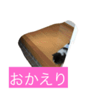 ションben芸者（個別スタンプ：19）