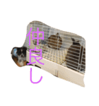 ションben芸者（個別スタンプ：20）