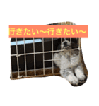 ションben芸者（個別スタンプ：23）