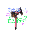 ミニピン姉妹の日常1（個別スタンプ：4）