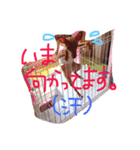 ミニピン姉妹の日常1（個別スタンプ：7）