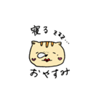 トラネコみゃいちゃん（個別スタンプ：6）