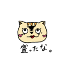 トラネコみゃいちゃん（個別スタンプ：9）