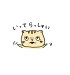 トラネコみゃいちゃん（個別スタンプ：21）