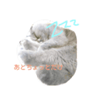 シホォンのゆるふわ   日常（個別スタンプ：4）