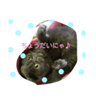 シホォンのゆるふわ   日常（個別スタンプ：8）