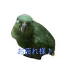 かわいい家族（個別スタンプ：1）