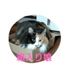 かわいい家族（個別スタンプ：5）