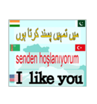 英語. パキスタン.トルクメニスタン.トルコ（個別スタンプ：1）