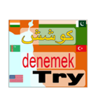 英語. パキスタン.トルクメニスタン.トルコ（個別スタンプ：34）