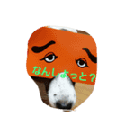 ぶち犬コロちゃん（個別スタンプ：4）