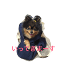 大好きいちび（個別スタンプ：1）