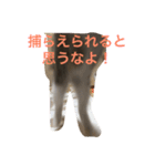 生意気ネコさん（個別スタンプ：7）