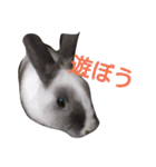 可愛いアイドル2（個別スタンプ：6）