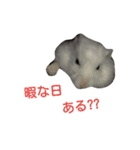 可愛いアイドル2（個別スタンプ：8）