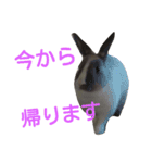 可愛いアイドル2（個別スタンプ：11）