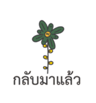 Sawasdee Thai Flowers Everydays use（個別スタンプ：23）