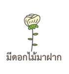 Sawasdee Thai Flowers Everydays use（個別スタンプ：39）