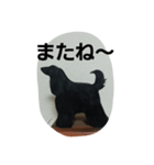 アフガンハウンド4（個別スタンプ：10）