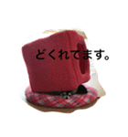 しろごまさん（個別スタンプ：3）