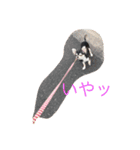 しろごまさん（個別スタンプ：6）
