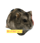 はむ漬け（個別スタンプ：5）