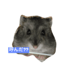 はむ漬け（個別スタンプ：6）
