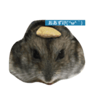 はむ漬け（個別スタンプ：14）