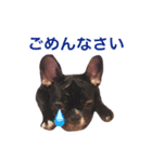 フレブルのノアさんです。（個別スタンプ：2）