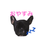フレブルのノアさんです。（個別スタンプ：3）