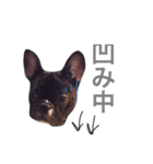 フレブルのノアさんです。（個別スタンプ：9）