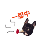 フレブルのノアさんです。（個別スタンプ：15）