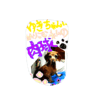 いとしのぷーこ（個別スタンプ：2）