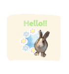 ラパンフレンズ（個別スタンプ：8）