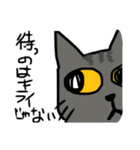 グレー猫、ロシアンブルー、（個別スタンプ：2）