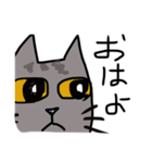 グレー猫、ロシアンブルー、（個別スタンプ：8）