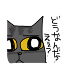 グレー猫、ロシアンブルー、（個別スタンプ：9）