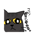 グレー猫、ロシアンブルー、（個別スタンプ：11）