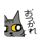 グレー猫、ロシアンブルー、（個別スタンプ：13）