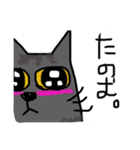 グレー猫、ロシアンブルー、（個別スタンプ：14）