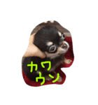 まろんまろまろ（個別スタンプ：4）