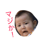 まほ 1（個別スタンプ：14）