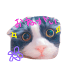 いなり（個別スタンプ：1）