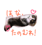 いなり（個別スタンプ：3）