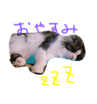 いなり（個別スタンプ：4）