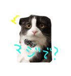 いなり（個別スタンプ：6）