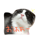 いなり（個別スタンプ：7）